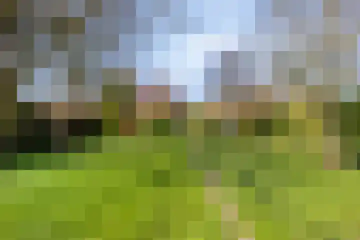 Kruisstraat 94 Stein thumbnail 54
