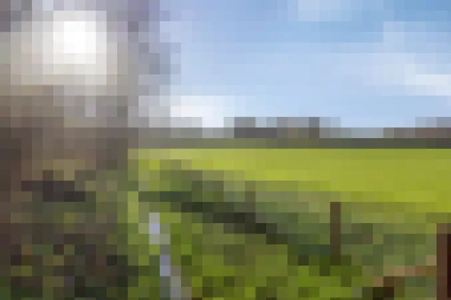 Kruisstraat 94 Stein thumbnail 57