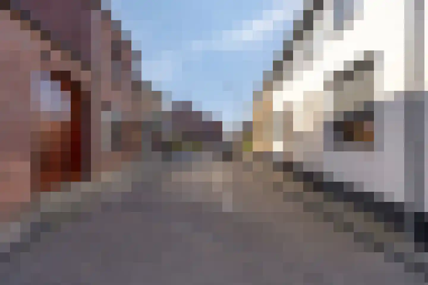 Kruisstraat 94 Stein thumbnail 8