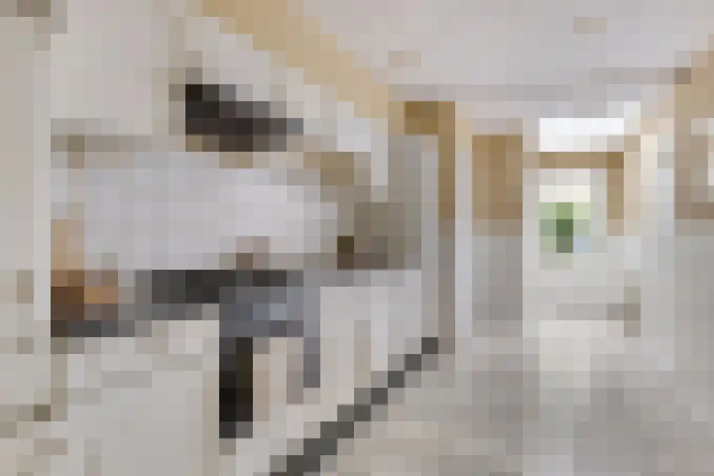 Kruisstraat 95 A Veldhoven thumbnail 13