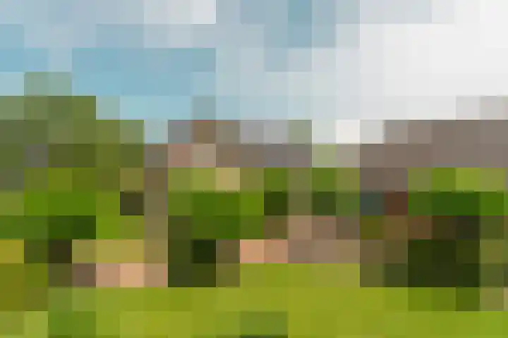 Kruisstukweg 1 Wehl foto 2
