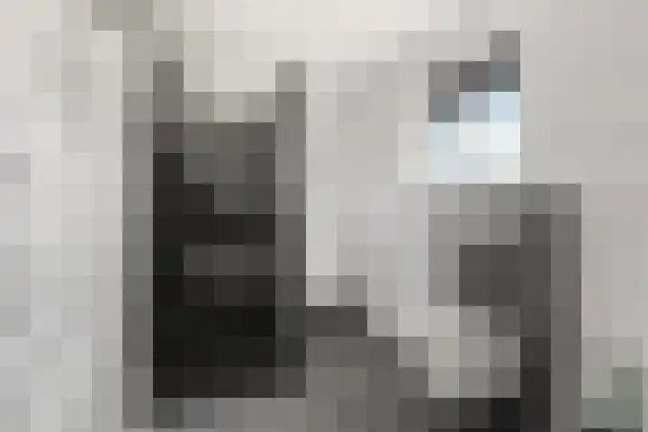 Kruisstukweg 1 Wehl thumbnail 34