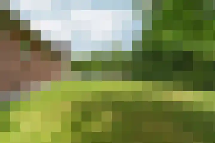 Kruisstukweg 1 Wehl thumbnail 45