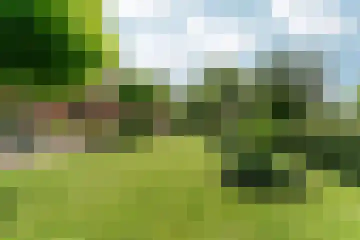 Kruisstukweg 1 Wehl thumbnail 54