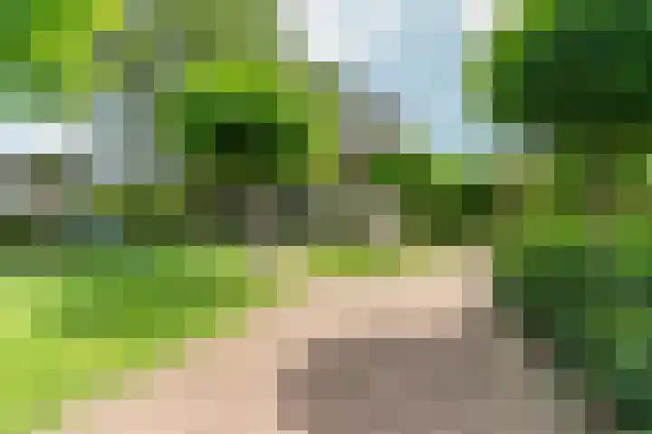 Kruisstukweg 1 Wehl thumbnail 56