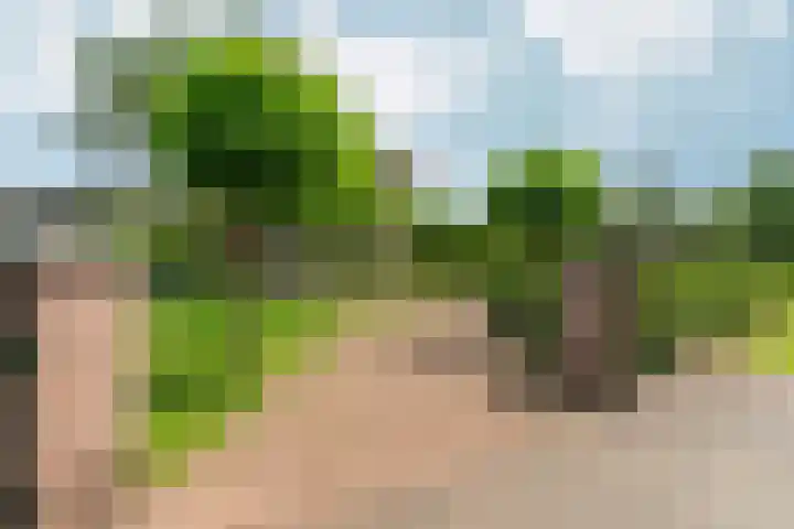 Kruisstukweg 1 Wehl thumbnail 57