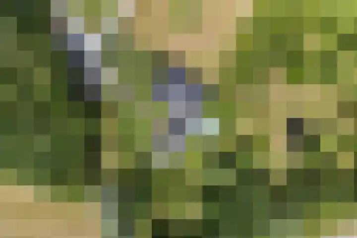 Kruisstukweg 1 Wehl thumbnail 64