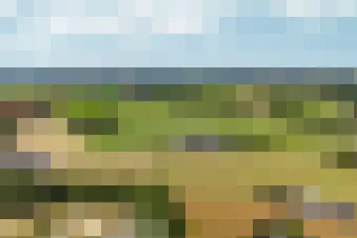 Kruisstukweg 1 Wehl thumbnail 65