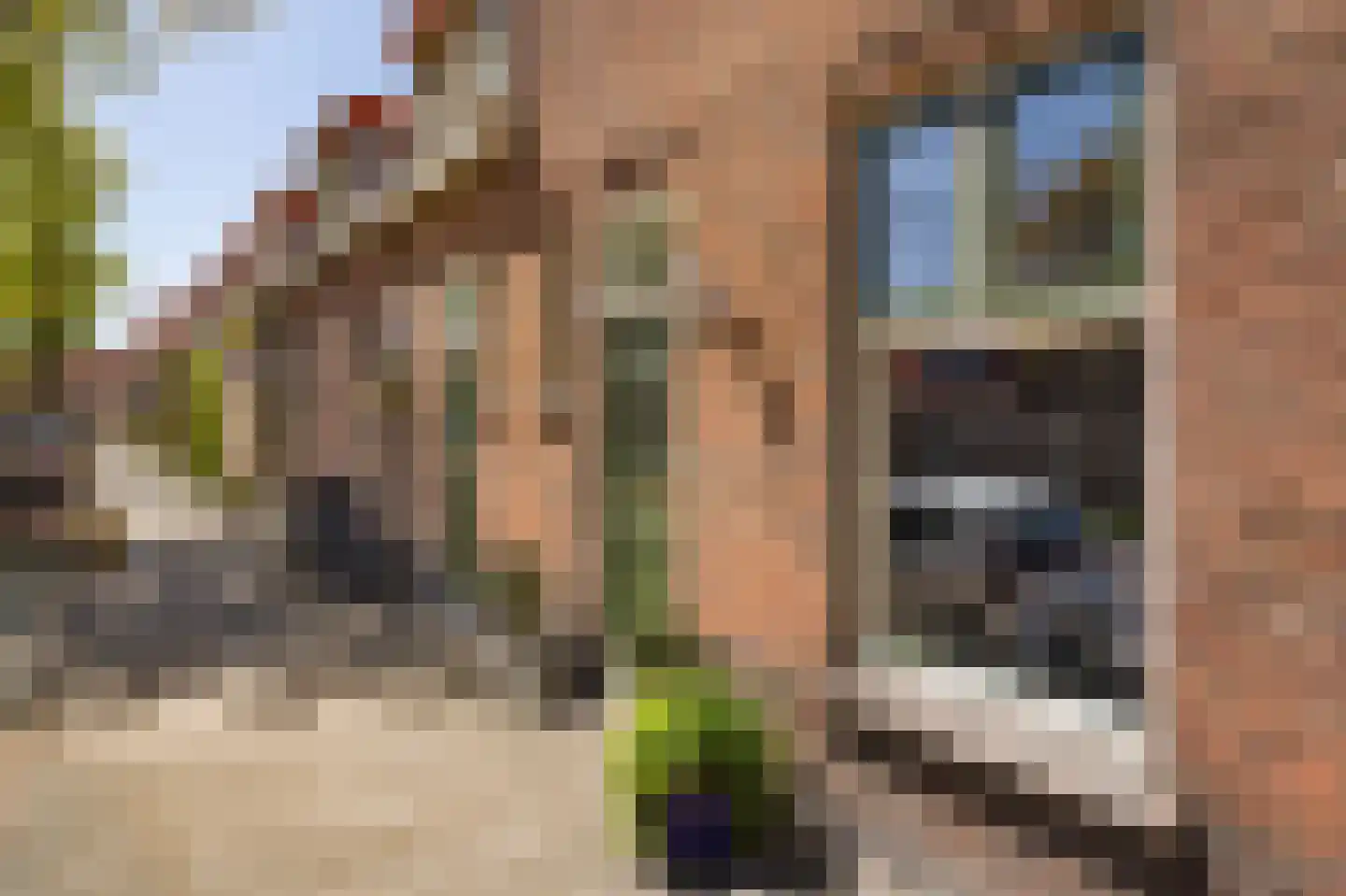 Kruistochtstraat 34 Haarlem thumbnail 29