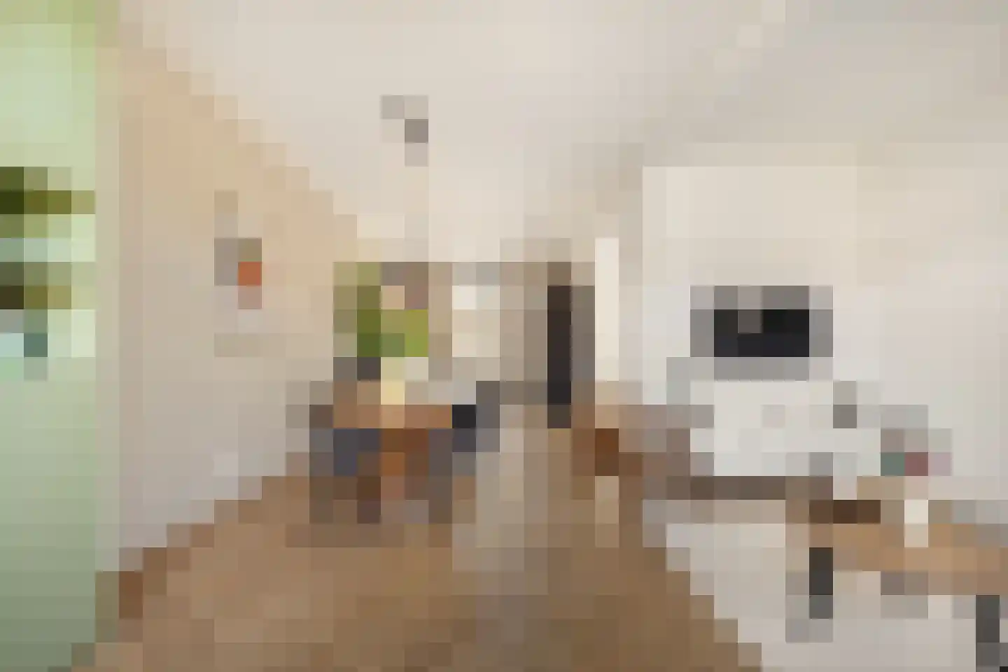 Kruistochtstraat 34 Haarlem thumbnail 5