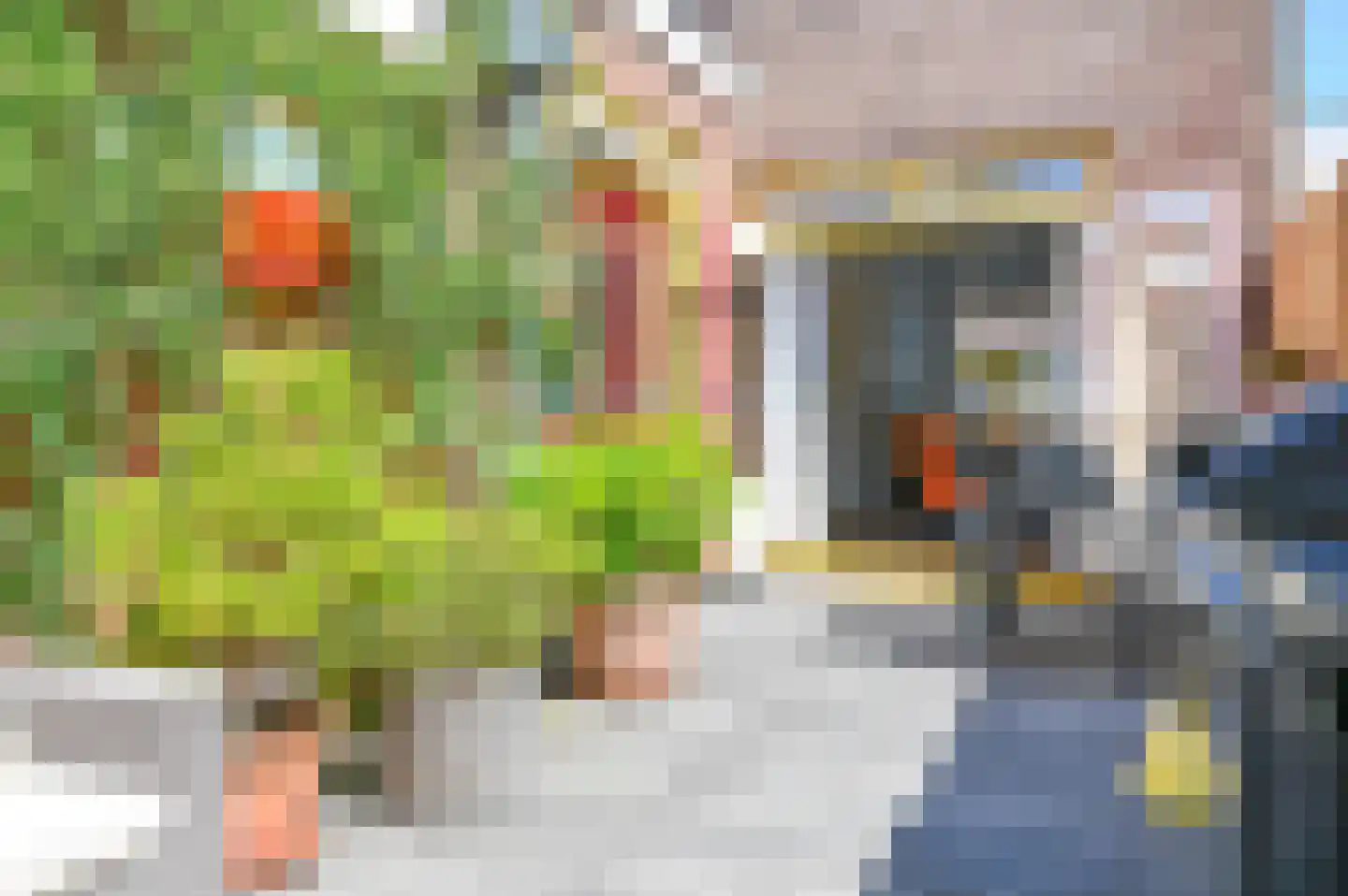 Kruistochtstraat 66 Haarlem thumbnail 29