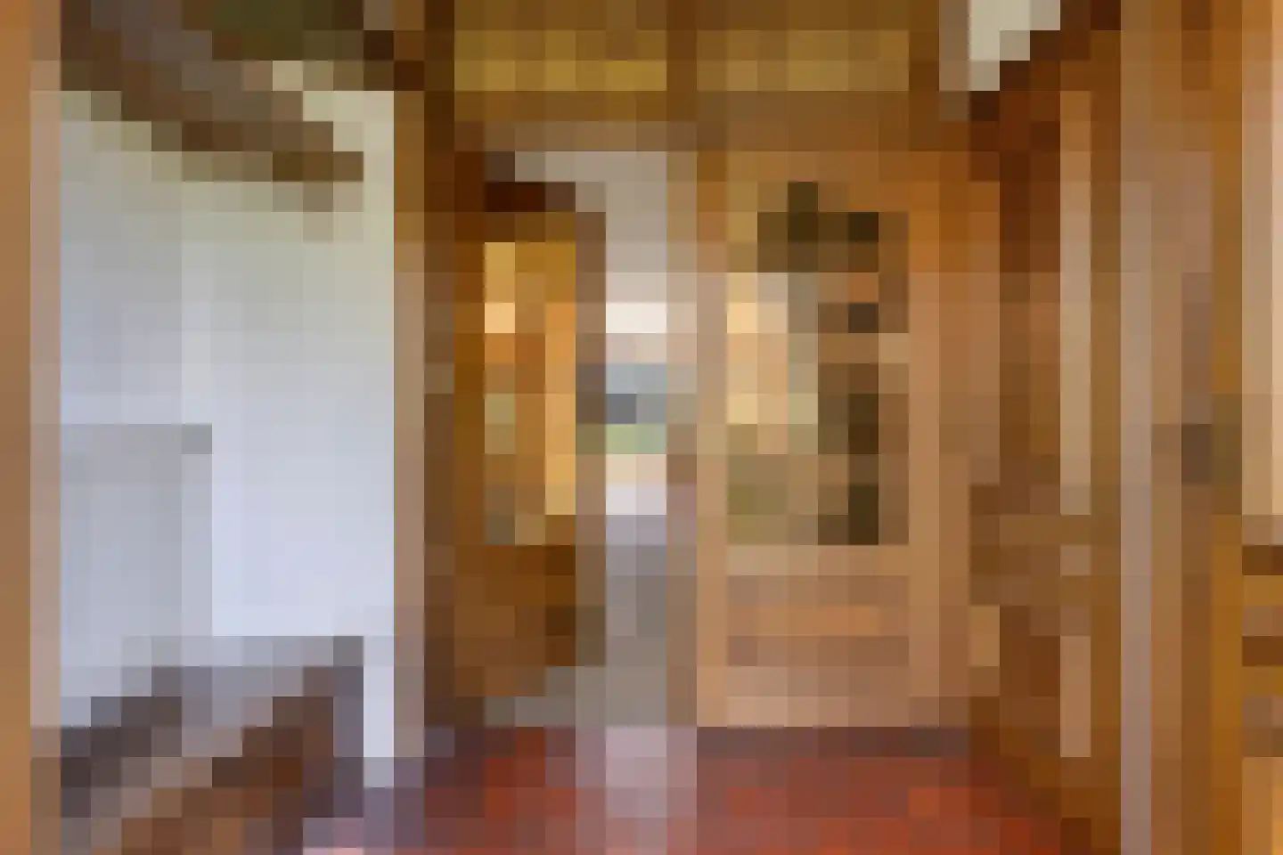 Kruistraat 12 Wolvega thumbnail 12
