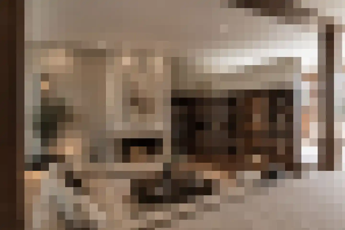 Kruistraat 12 Wolvega thumbnail 35