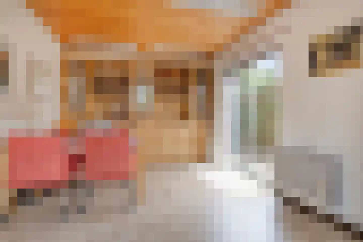 Kruistraat 2 Wolvega thumbnail 20