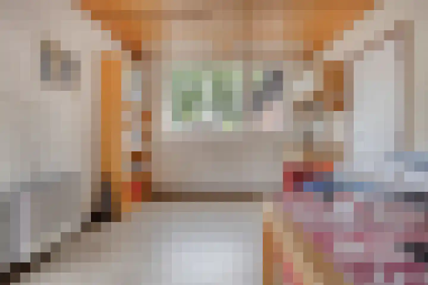 Kruistraat 2 Wolvega thumbnail 21