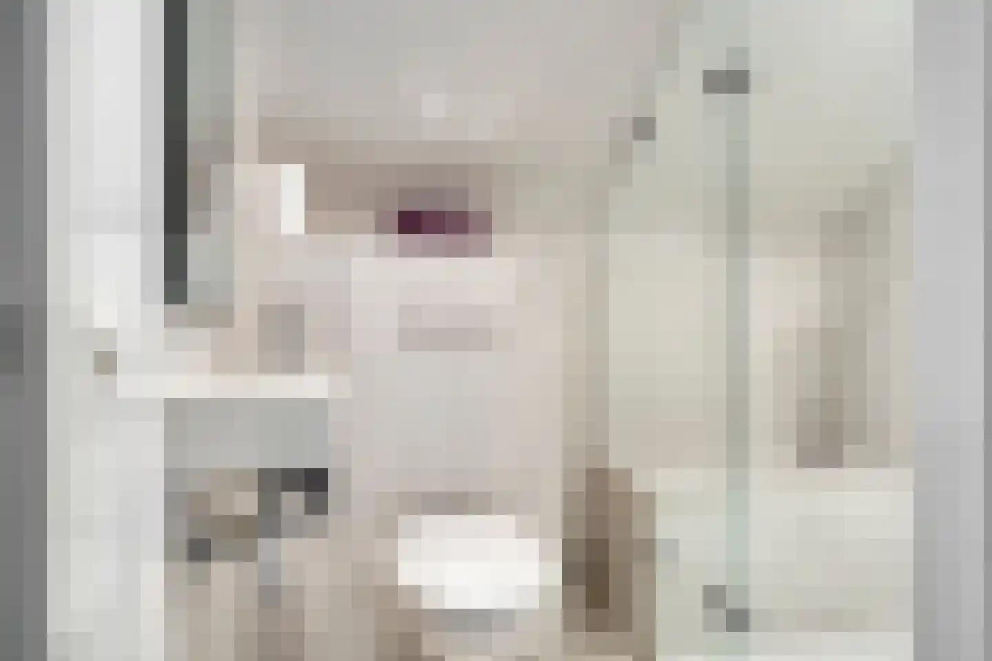 Kruistraat 2 Wolvega thumbnail 39