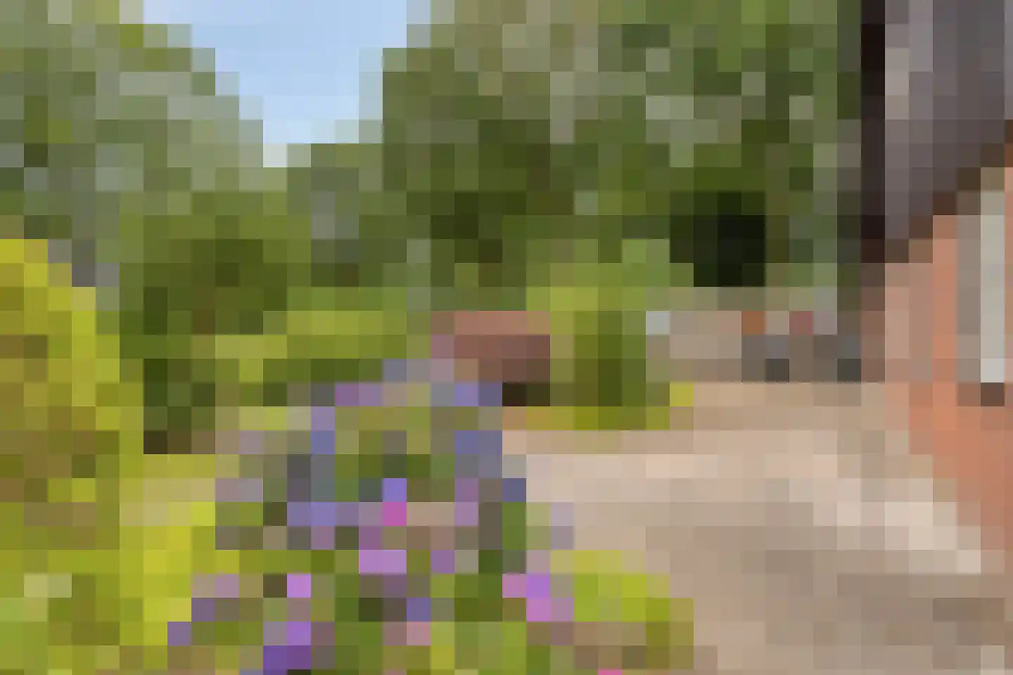 Kruistraat 2 Wolvega thumbnail 43