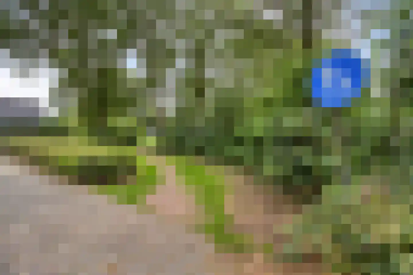 Kruistraat 2 Wolvega thumbnail 51
