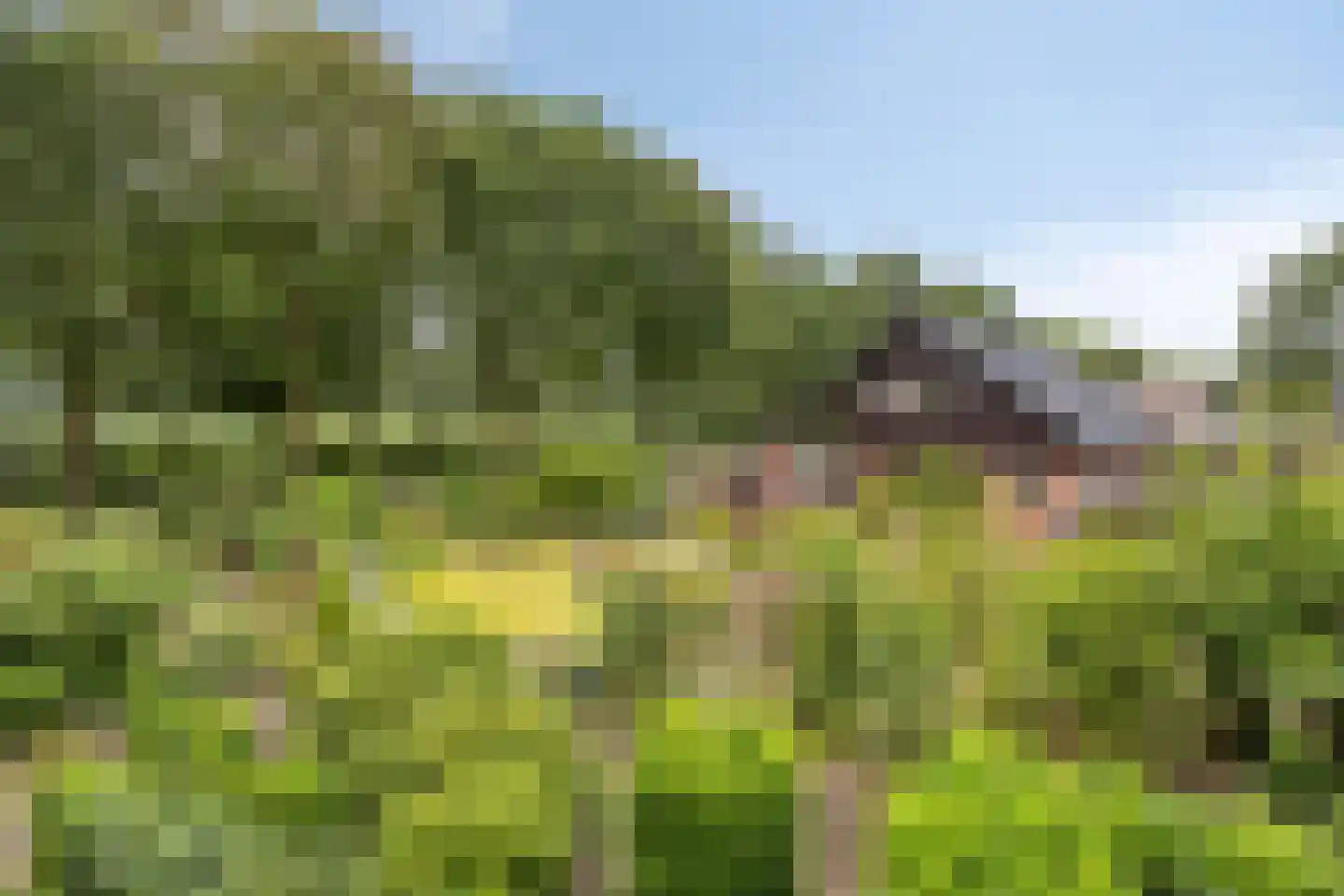 Kruistraat 2 Wolvega thumbnail 54