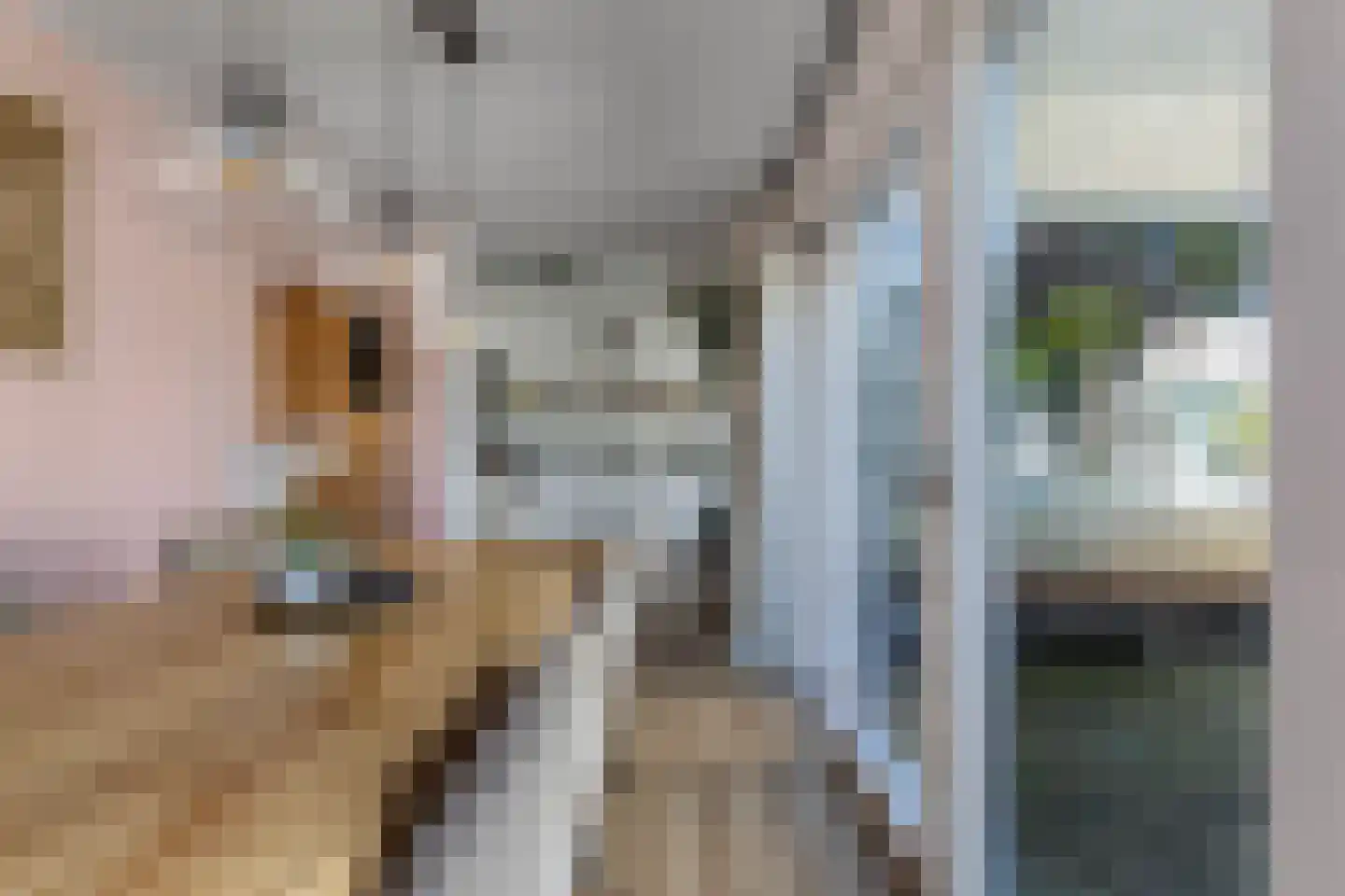 Kruistraat 46 Wolvega thumbnail 15