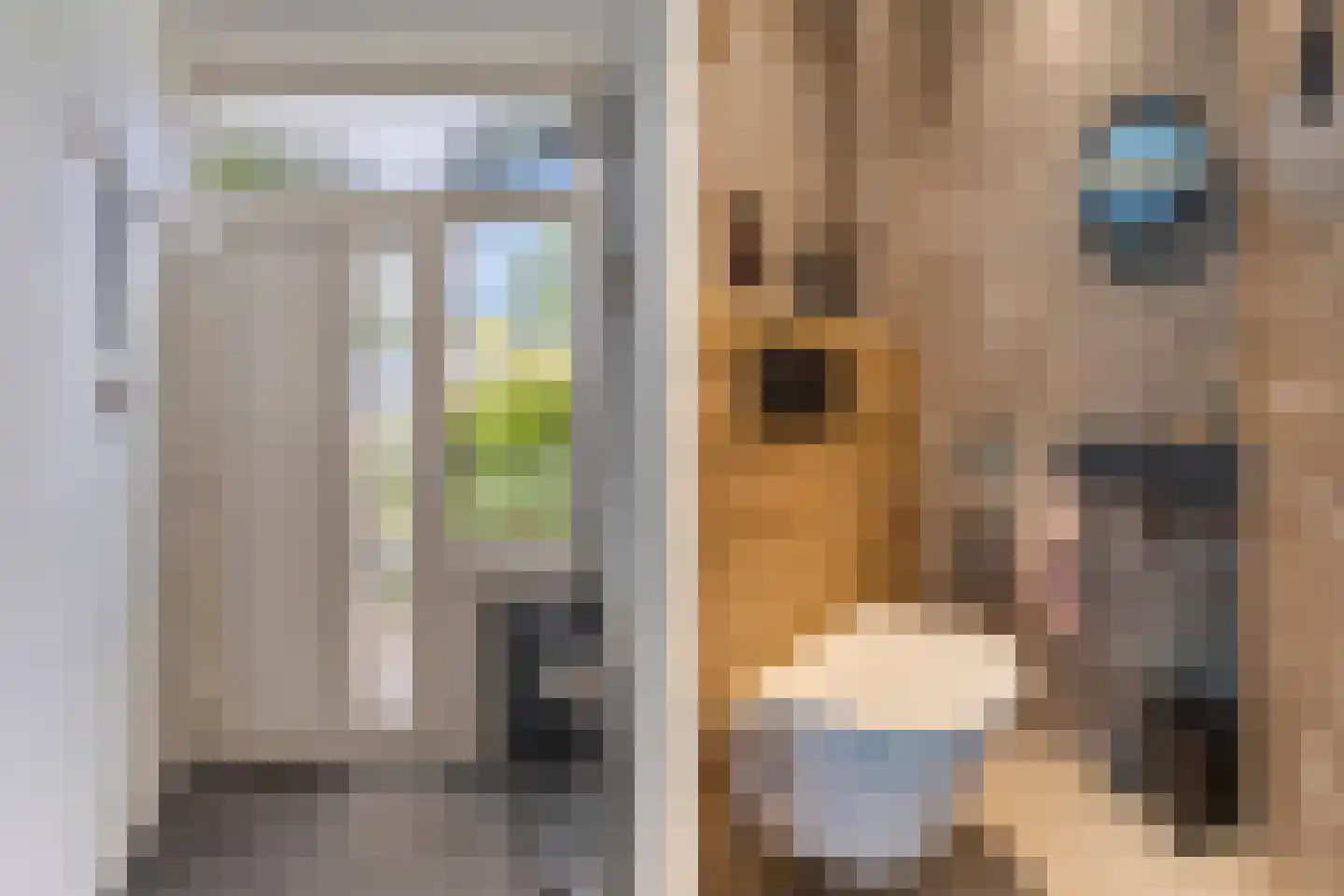 Kruistraat 46 Wolvega thumbnail 8