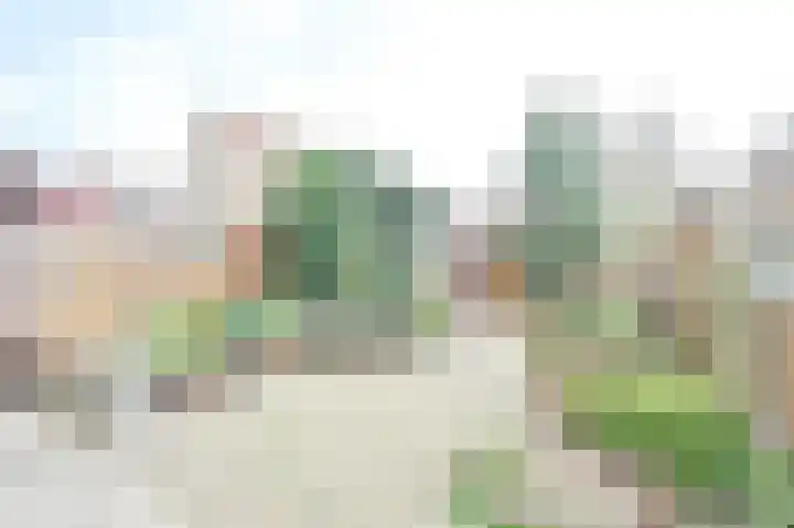 Kruisvaarder 19 Rhoon thumbnail 17