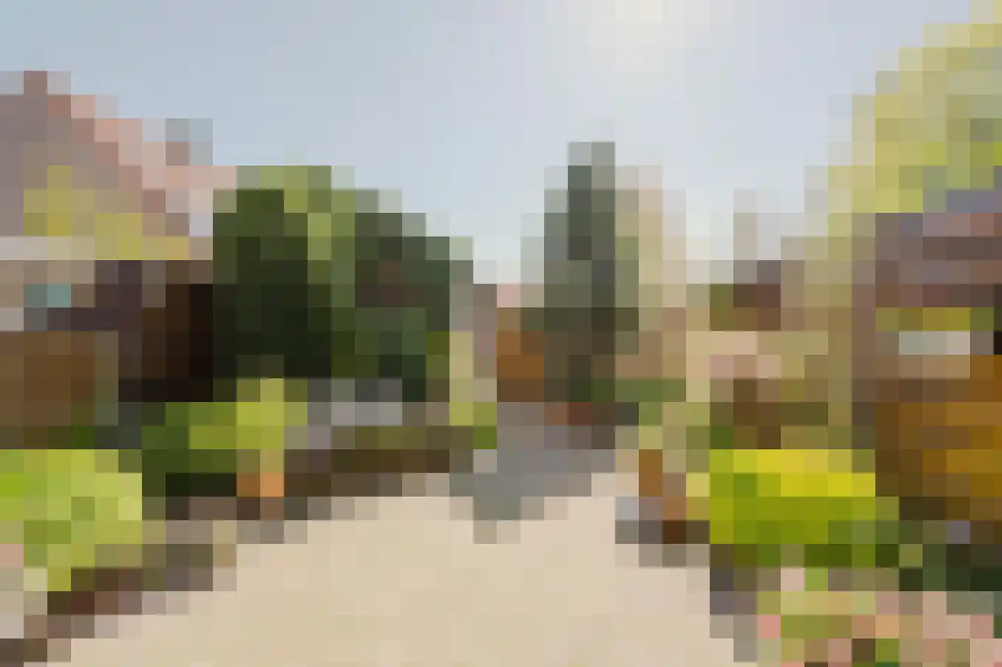 Kruisvaarder 19 Rhoon thumbnail 4