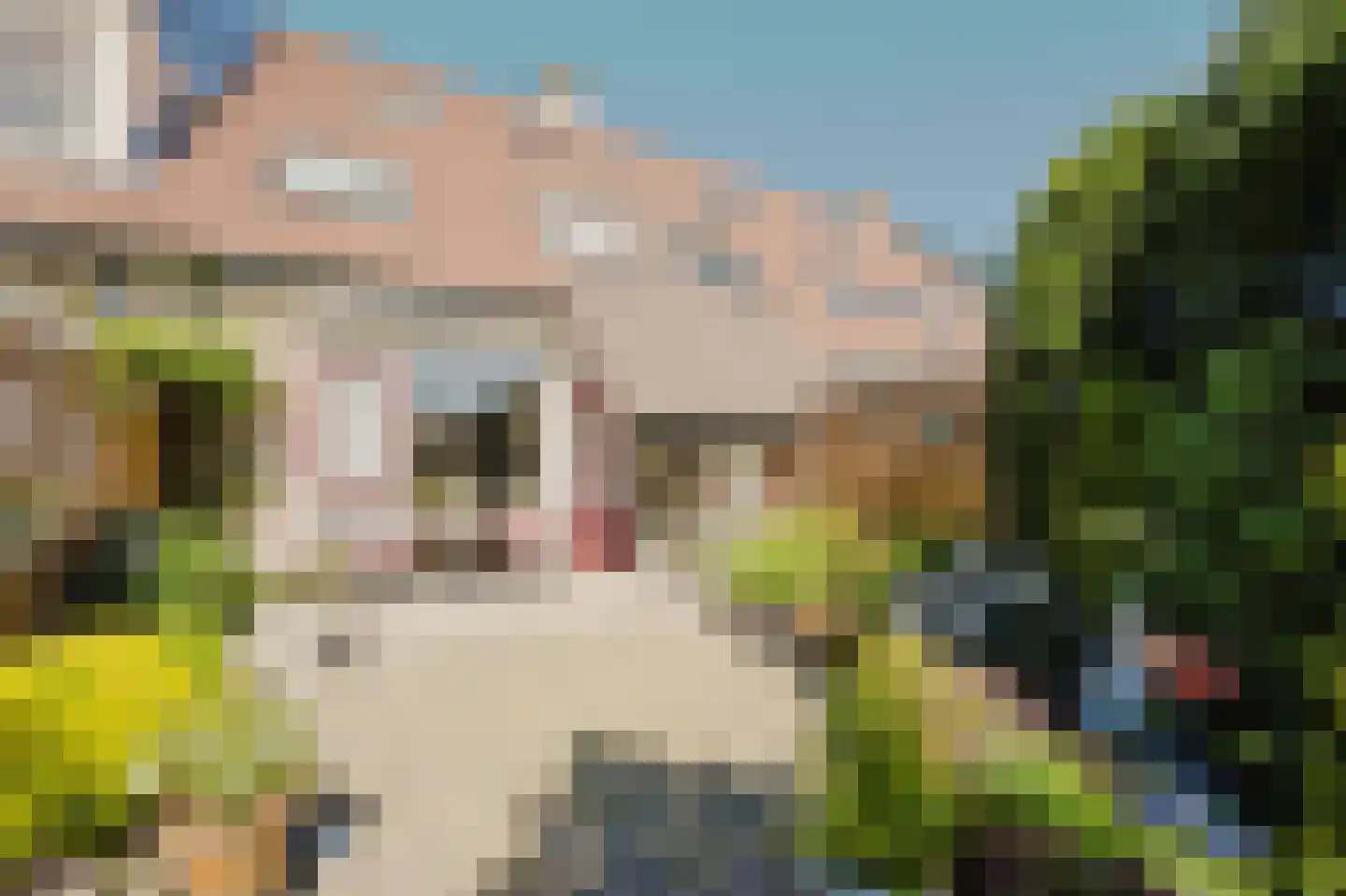 Kruisvaarder 19 Rhoon thumbnail 5