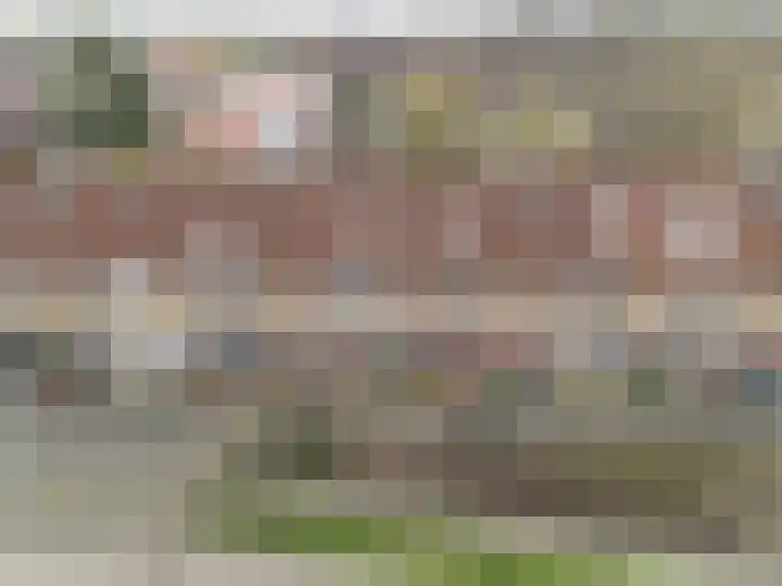 Kruisvaarder 19 Rhoon thumbnail 6