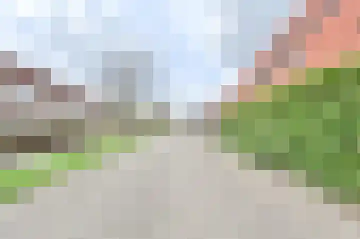 Kruisvaarder 19 Rhoon thumbnail 7