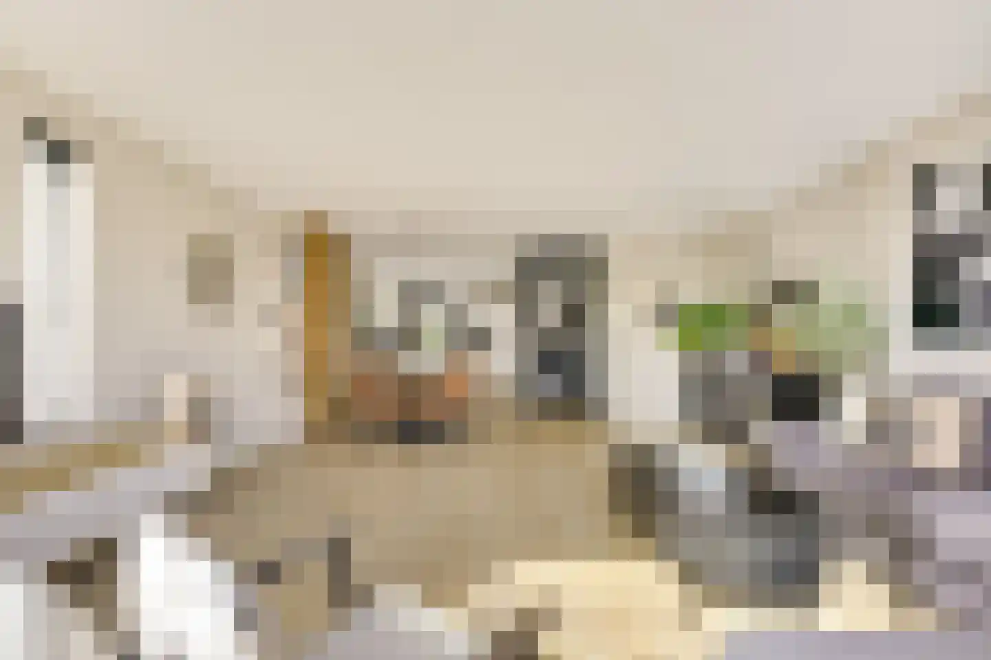 Kruisvaardersland 36 Houten thumbnail 12