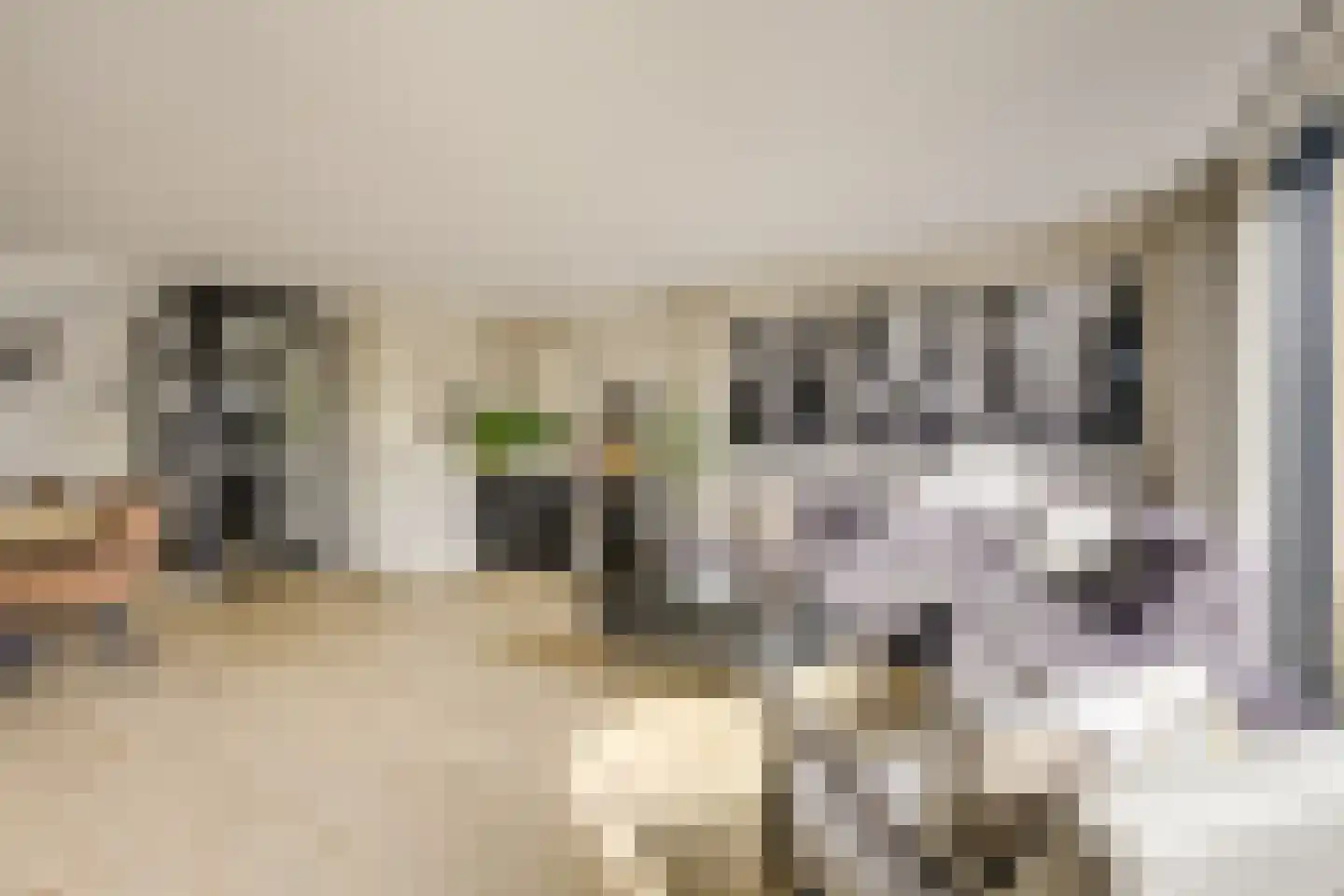 Kruisvaardersland 36 Houten thumbnail 13
