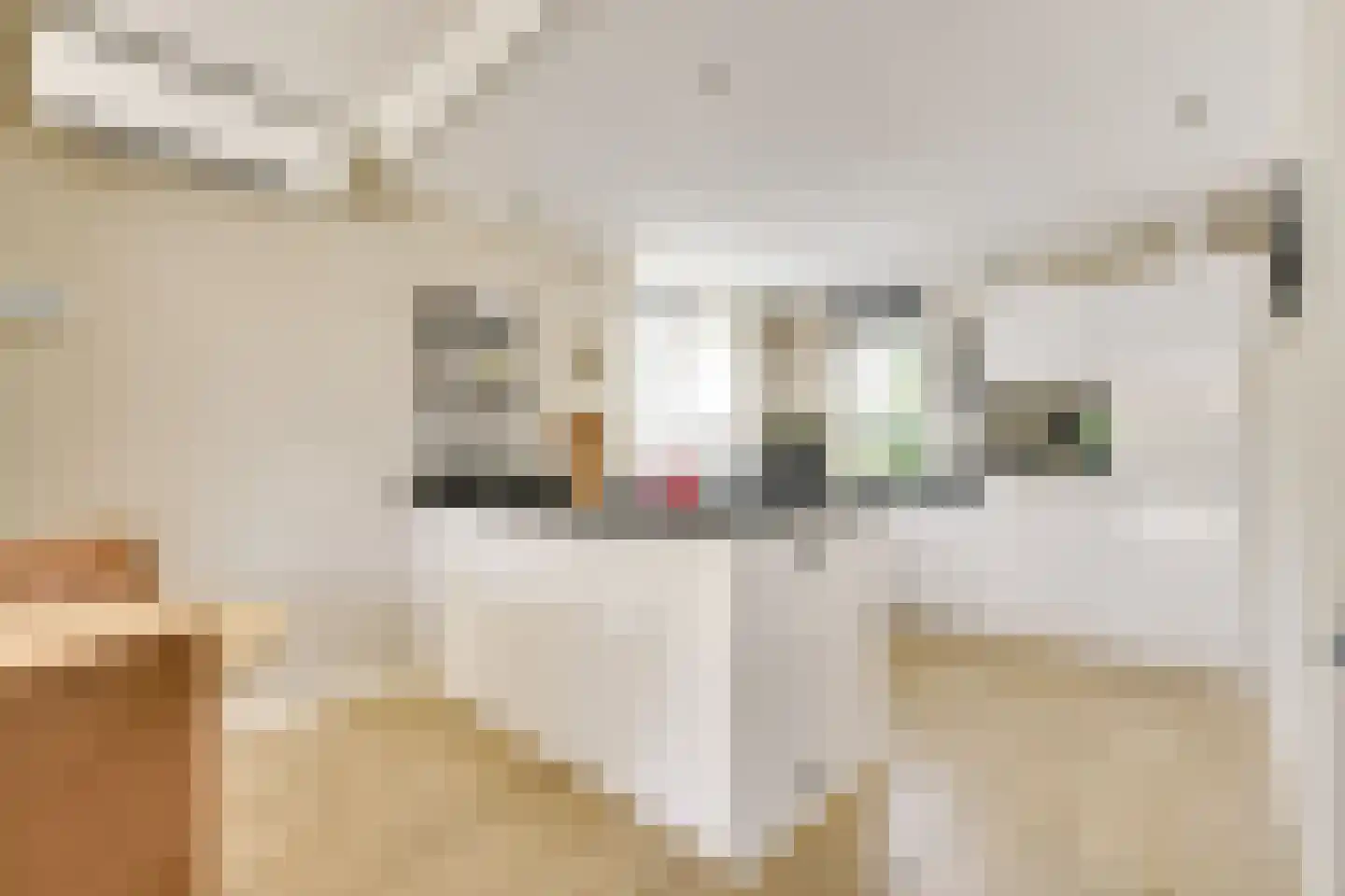 Kruisvaardersland 36 Houten thumbnail 15