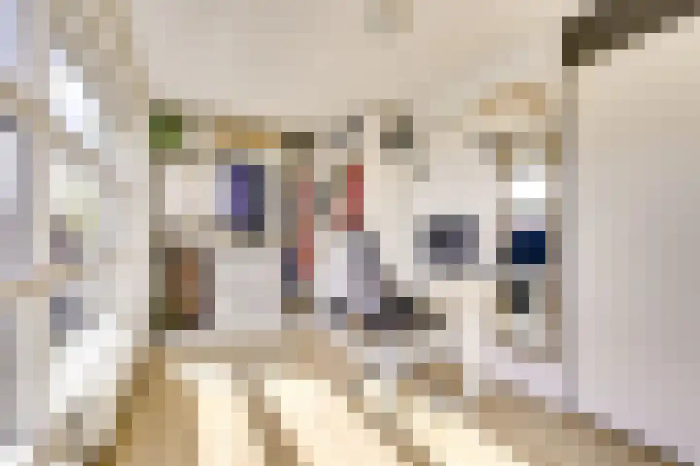 Kruisvaardersland 36 Houten thumbnail 28