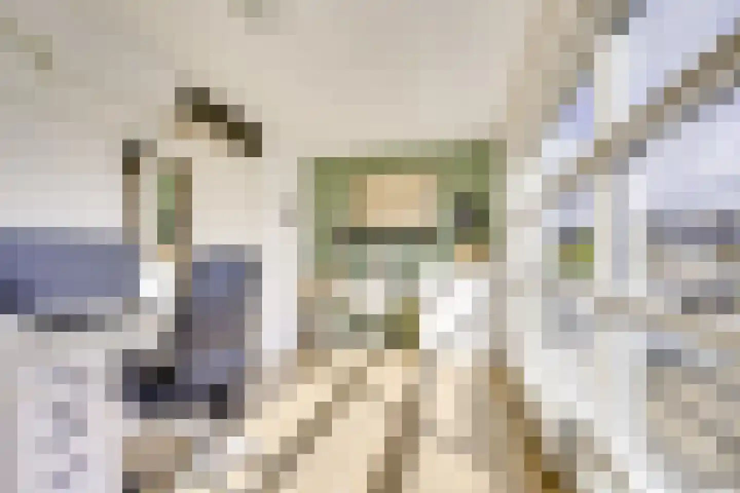 Kruisvaardersland 36 Houten thumbnail 30