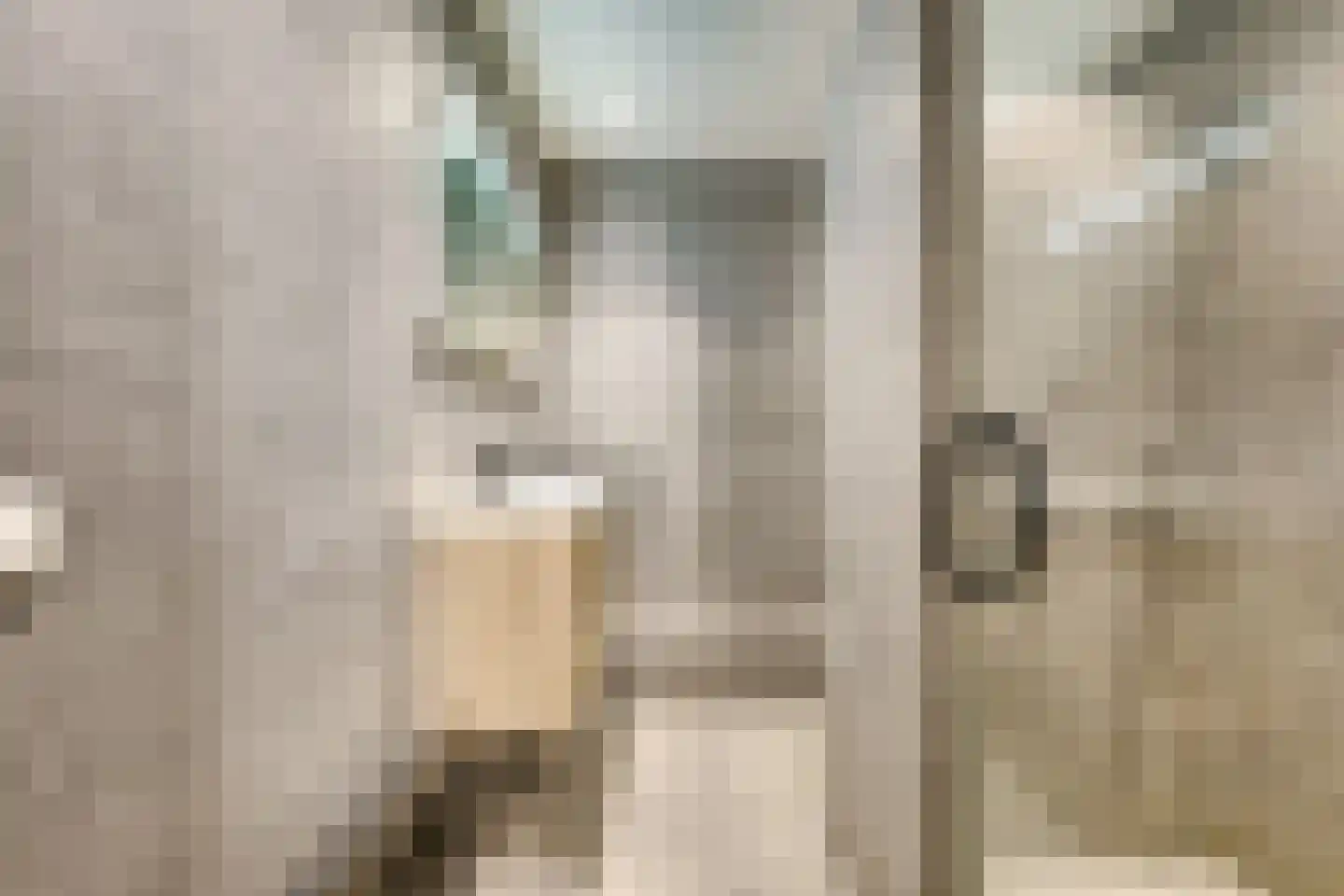 Kruisvaardersland 36 Houten thumbnail 31