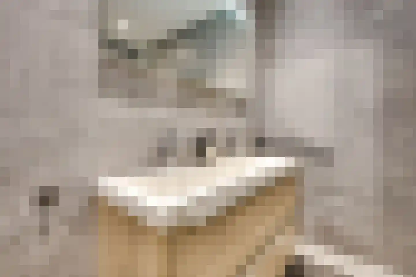 Kruisvaardersland 36 Houten thumbnail 32