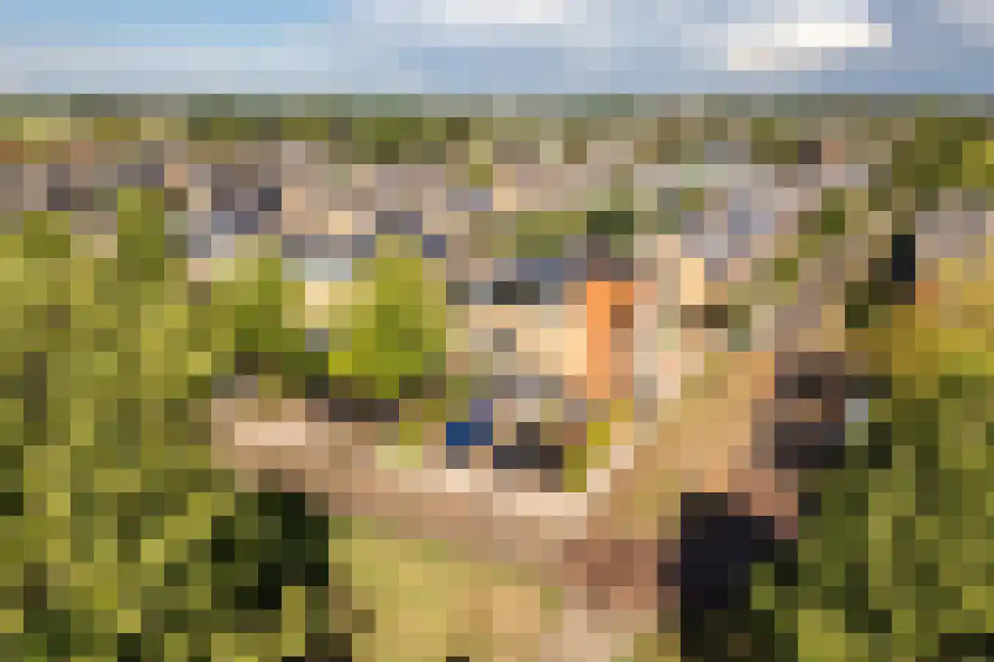 Kruisvaardersland 36 Houten thumbnail 58