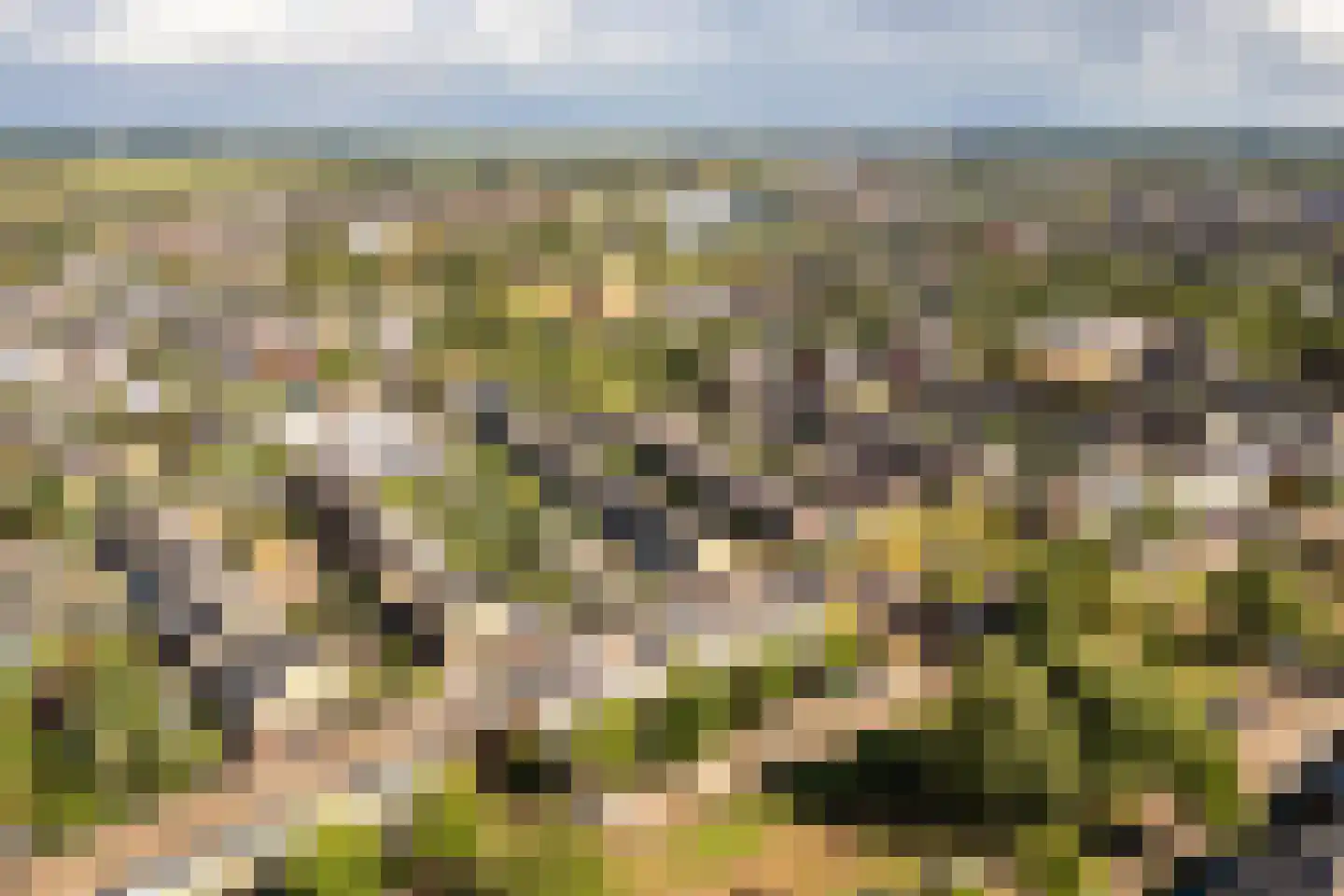 Kruisvaardersland 36 Houten thumbnail 59