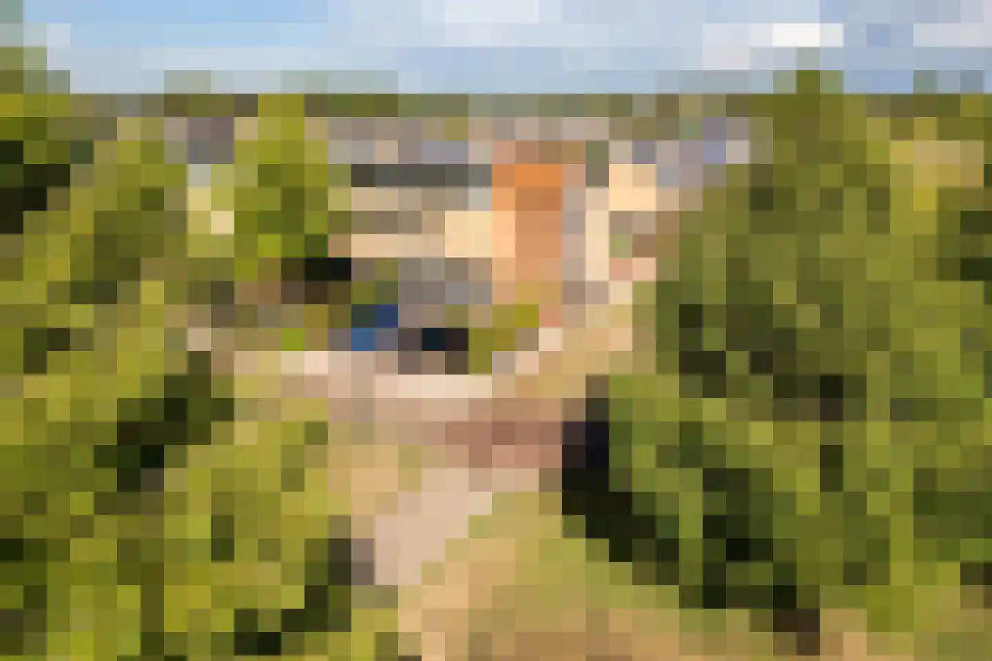 Kruisvaardersland 36 Houten thumbnail 60