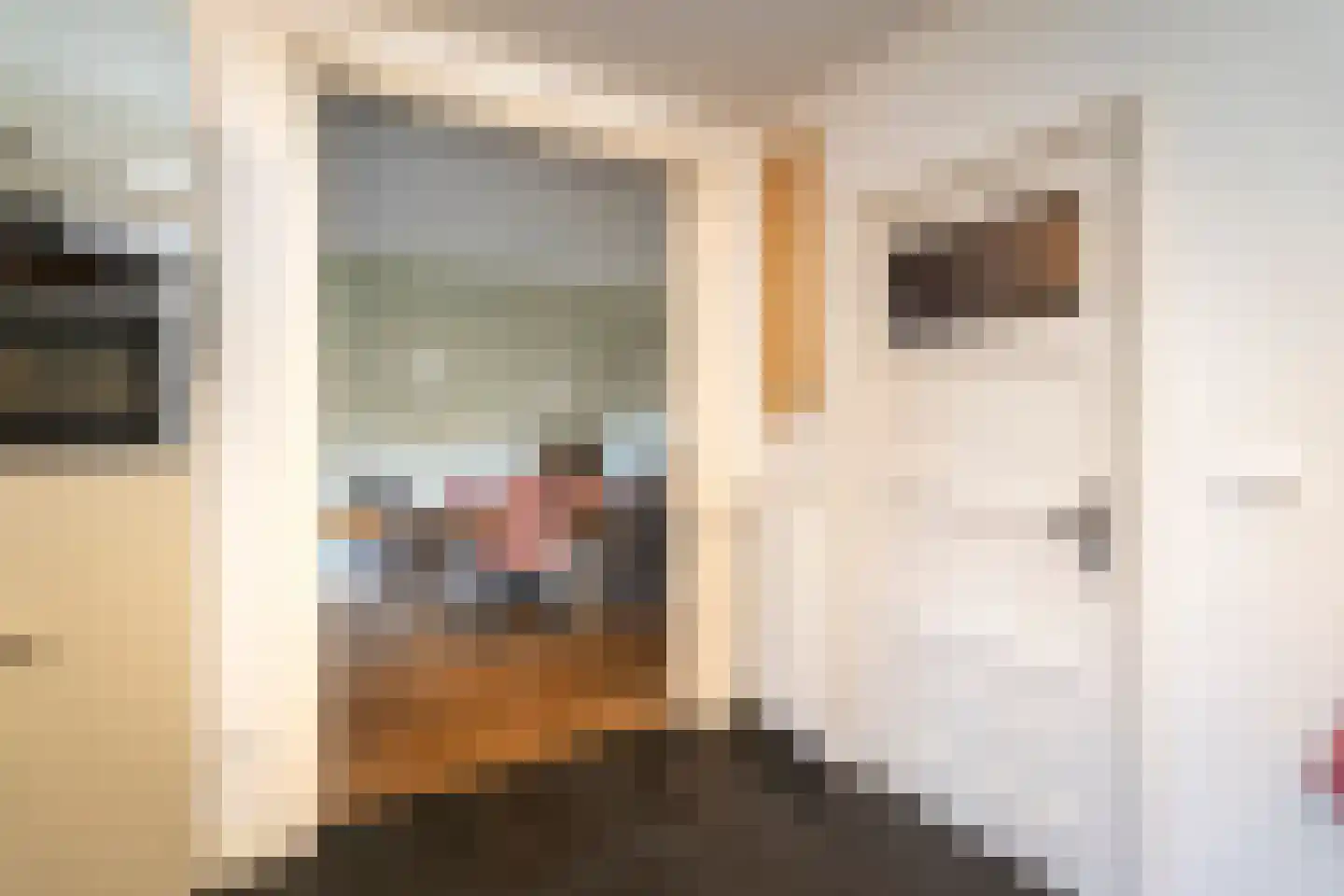 Kruisvaardersstraat 26 Tilburg thumbnail 17