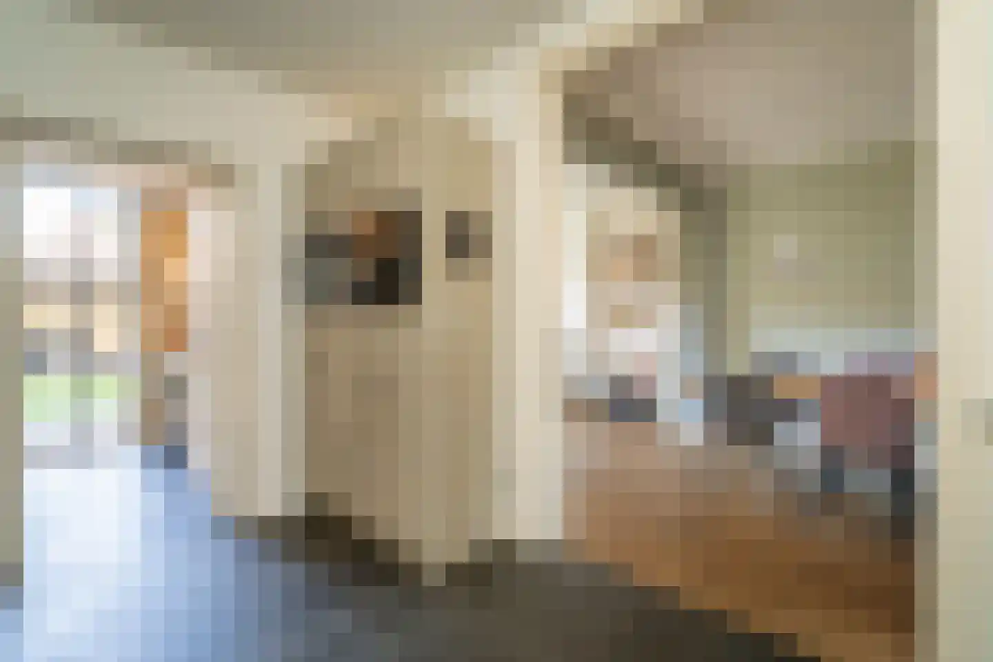Kruisvaardersstraat 26 Tilburg thumbnail 18
