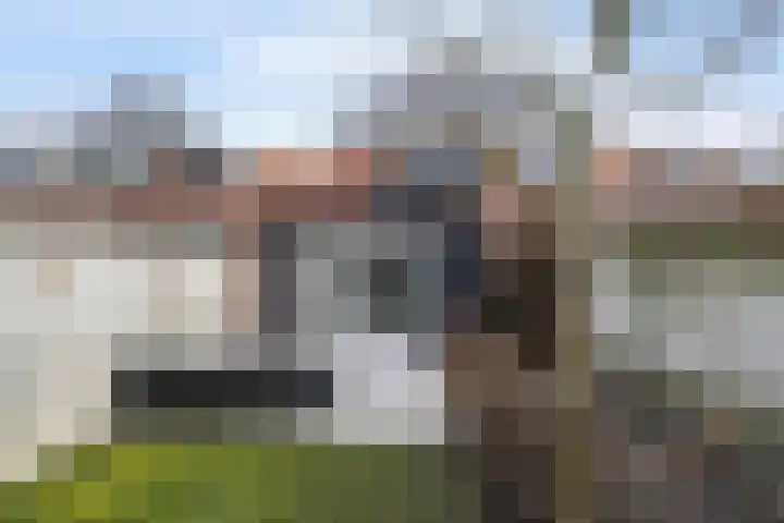 Kruisvaardersstraat 97 Tilburg thumbnail 66