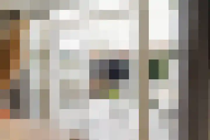 Kruisvaardersstraat 97 Tilburg thumbnail 7