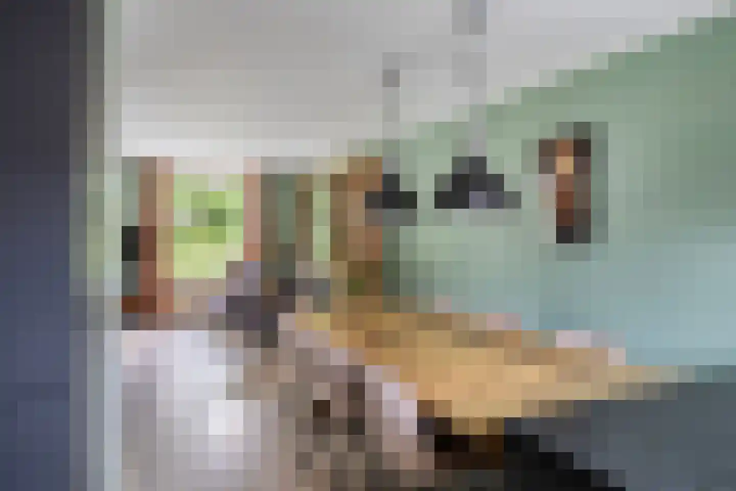 Kruisven 21 Tolbert thumbnail 13