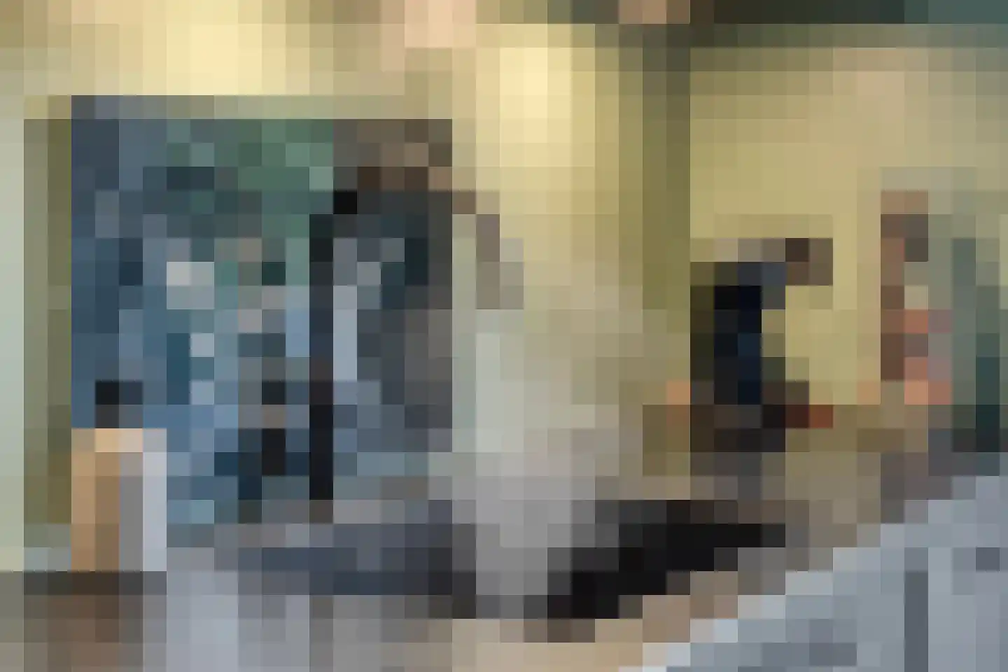 Kruisven 21 Tolbert thumbnail 15
