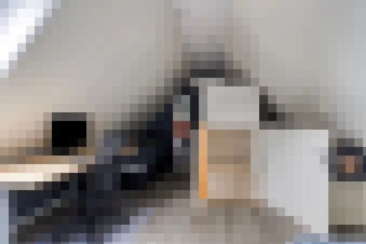 Kruisven 21 Tolbert thumbnail 34