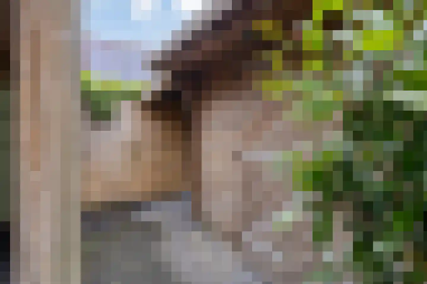 Kruisven 21 Tolbert thumbnail 36
