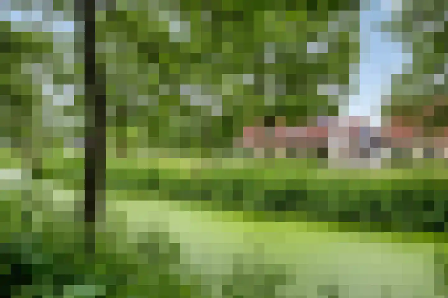 Kruisven 21 Tolbert thumbnail 4