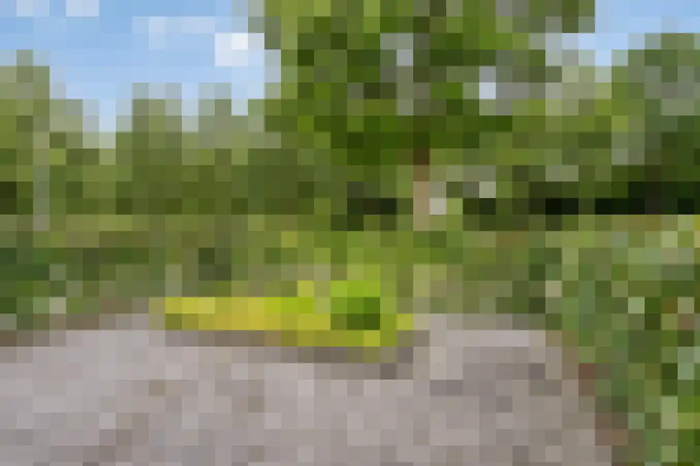 Kruisven 21 Tolbert thumbnail 42